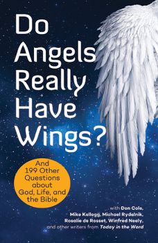 Do Angels Really Have Wings ? | Christian Books | Eachdaykart