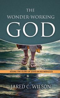 The Wonder-Working God by Jared C. Wilson | Christian Books | Eachdaykart