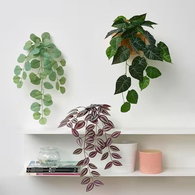 IKEA FEJKA Artificial plant with wall holder, in/outdoor/green/lilac | IKEA Artificial plants & flowers | IKEA Plants & flowers | IKEA Decoration | Eachdaykart