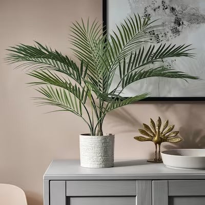 IKEA FEJKA Artificial potted plant, in/outdoor Areca palm | IKEA Artificial plants & flowers | IKEA Plants & flowers | IKEA Decoration | Eachdaykart