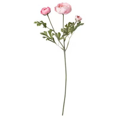 IKEA SMYCKA Artificial flower, Ranunculus/pink | IKEA Artificial plants & flowers | IKEA Plants & flowers | IKEA Decoration | Eachdaykart