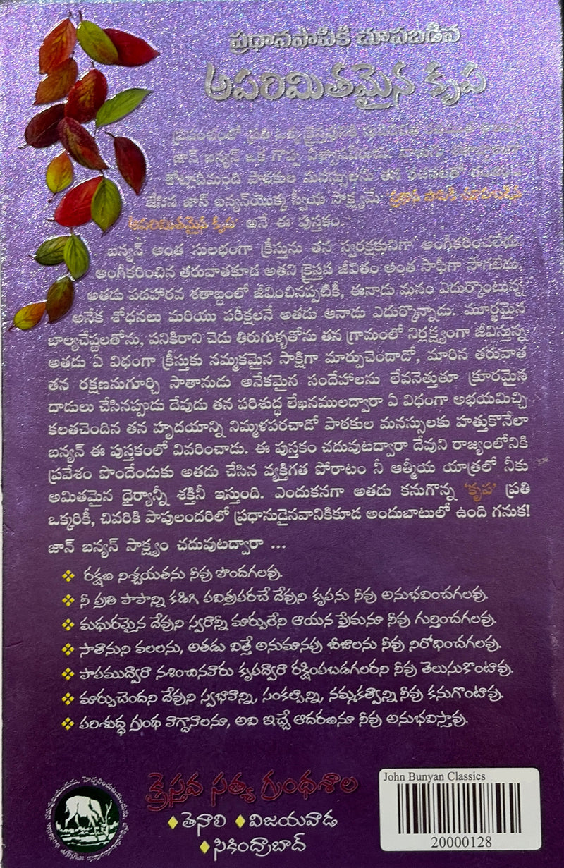 Pradhanapathiki Chupabadina Avarimithamaina Krupa Telugu Christian Books By John Bunyan EachDayKart