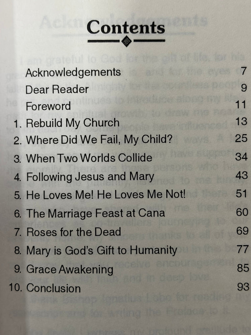 Awakening Grace Catholic Spiritual Growth And Inspirational Reflection Book By Dominic Mathews EachDayKart