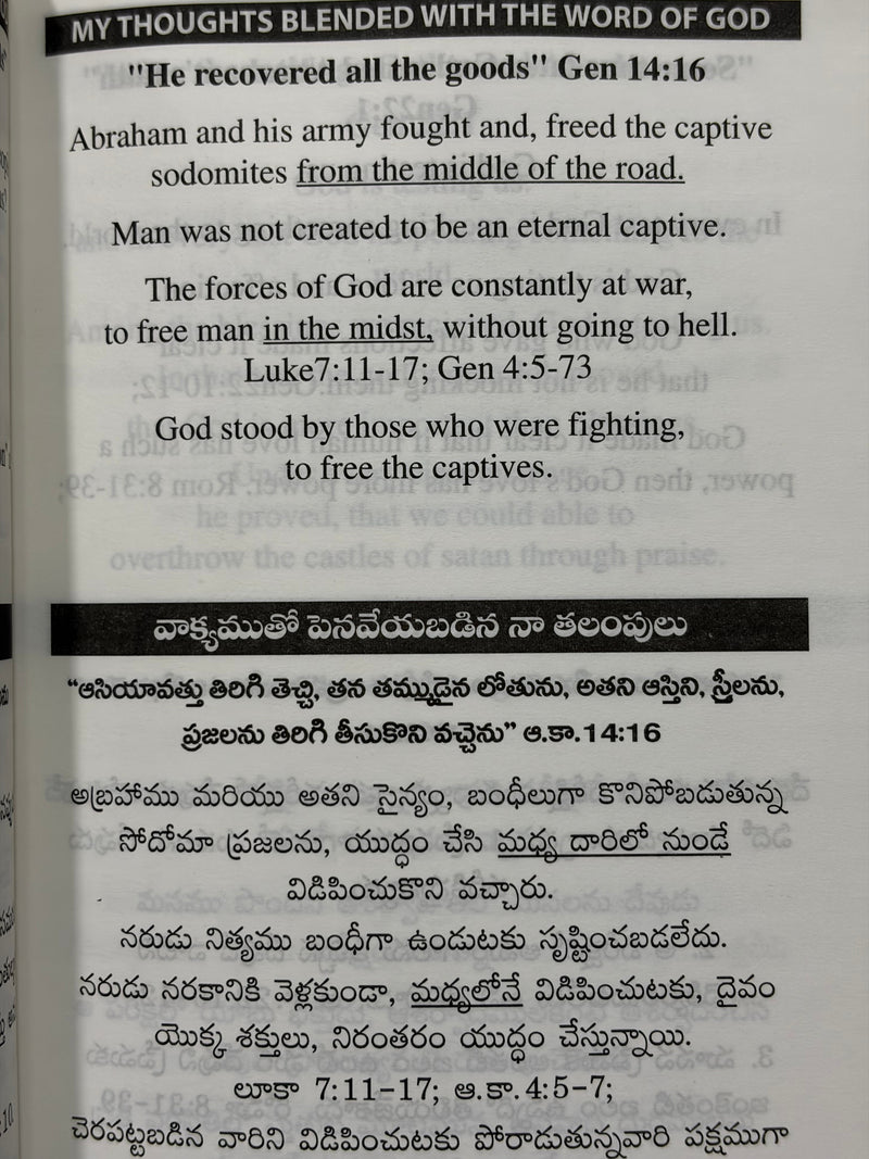 Velugu Thalupulu Thalapulu Telugu Christian Devotional Book By Rev Dr Kalebu Nangunoori EachDayKart