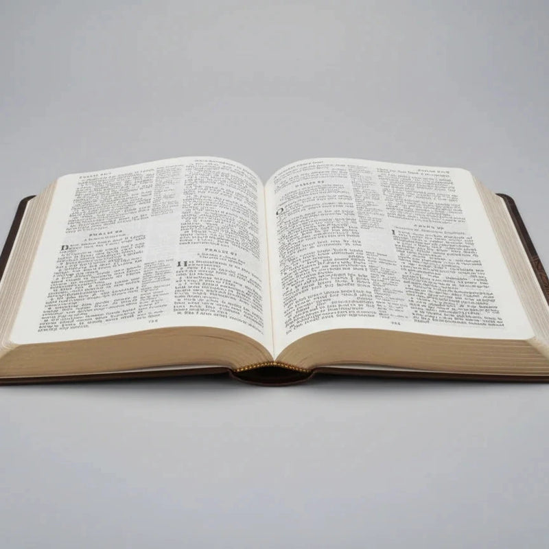 KJV Giant Print Center Column Reference Bible Brown LeatherSoft