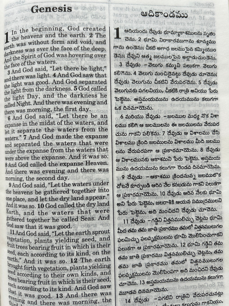 Holy Bible English–Telugu Diglot (ESV & O.V.) | Purple Leatherette Cover | Eachdaykart