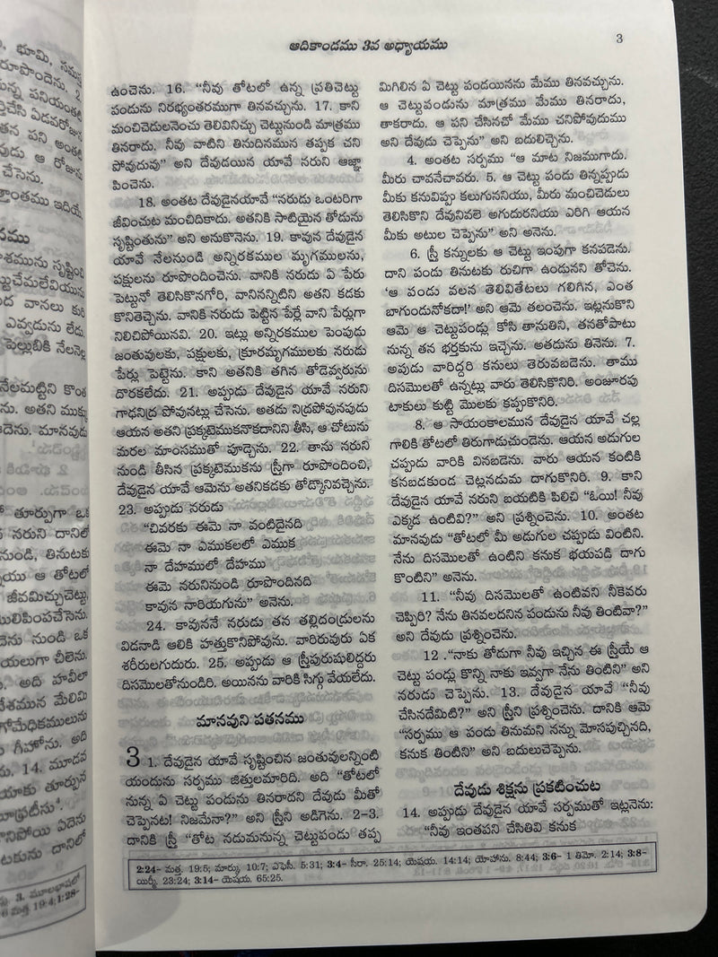 Catholic Telugu Bible (Pavitra Grandhamu) – Pink Leather Bound, Indexed, 2023