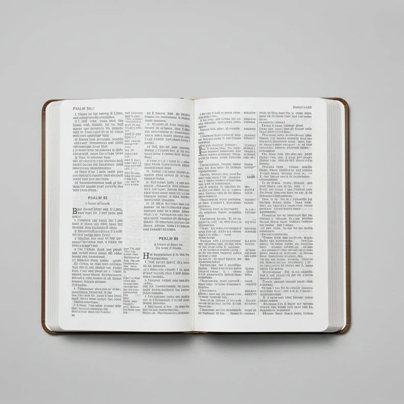 KJV Giant Print Center Column Reference Bible Brown LeatherSoft