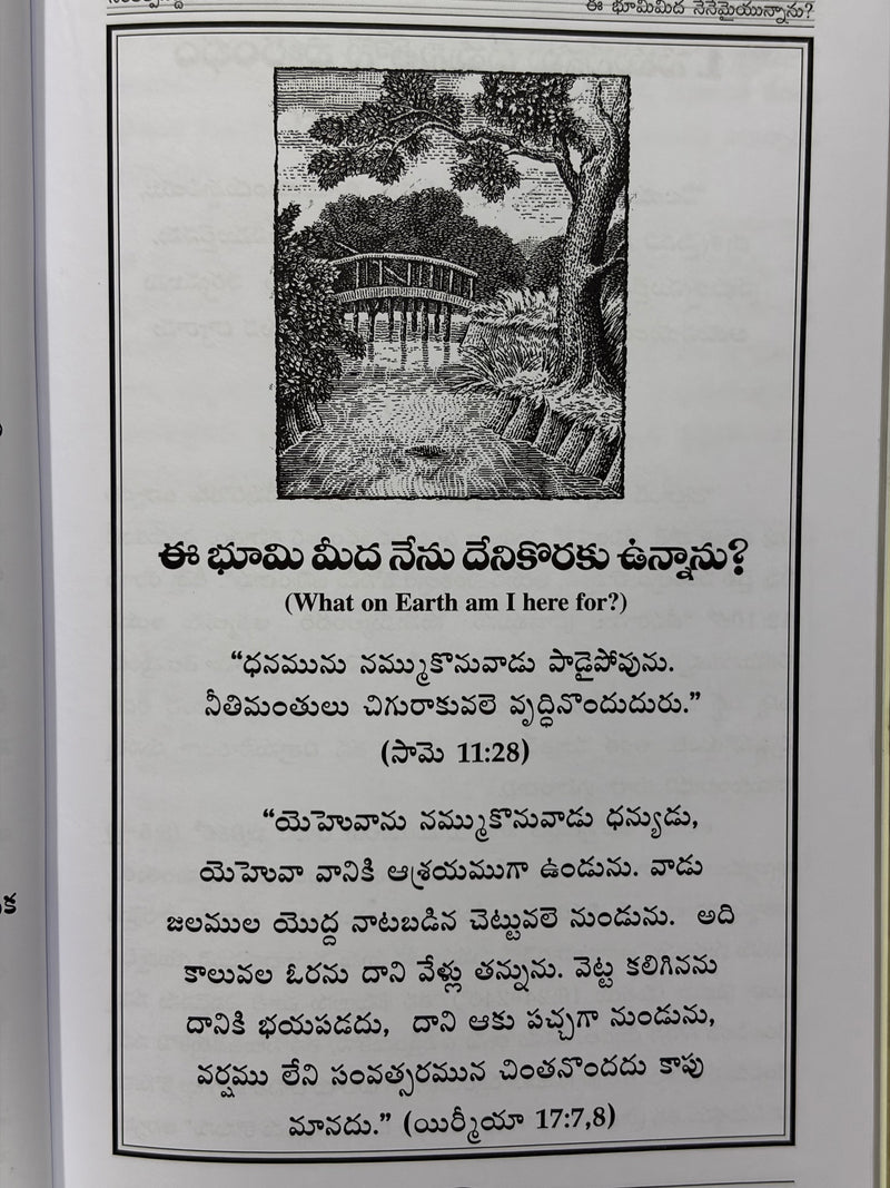 Sankalpasidda Jeevitham Telugu Edition Of The Purpose Driven Life By Rick Warren EachDayKart