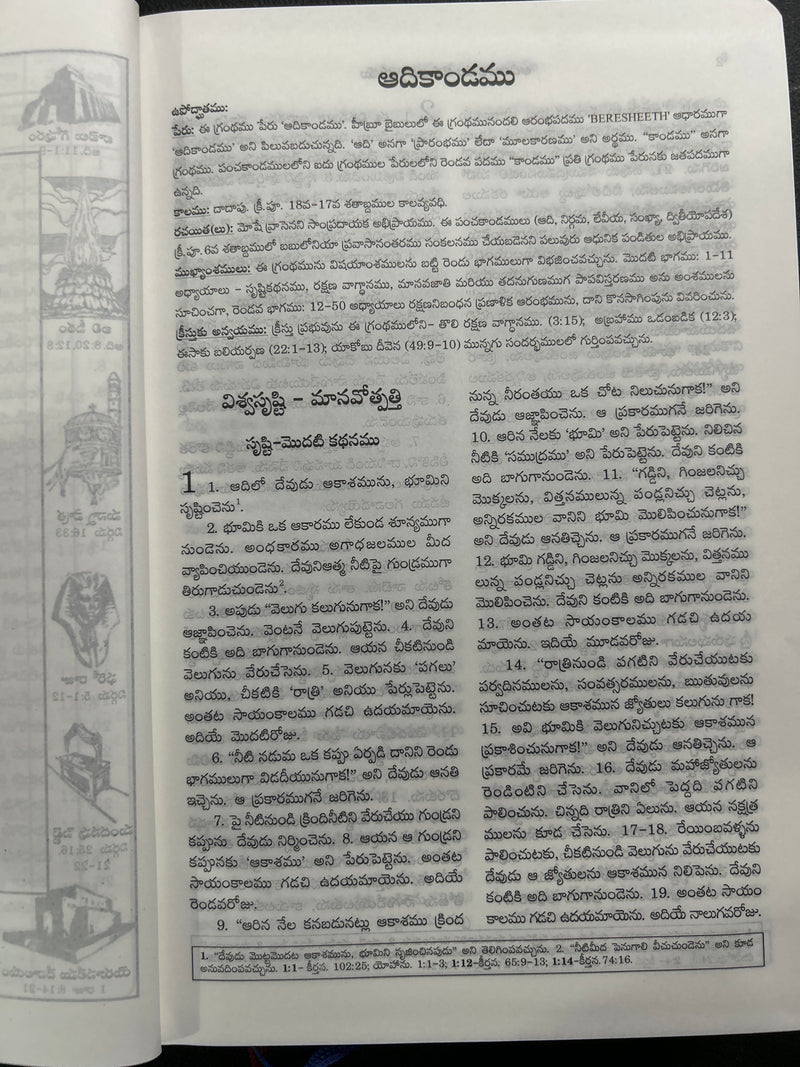 Catholic Telugu Bible (Pavitra Grandhamu) – Pink Leather Bound, Indexed, 2023