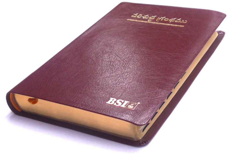 Holy bible telugu korean giant print leather cover gold edge thumb index by bsi - EachDayKart