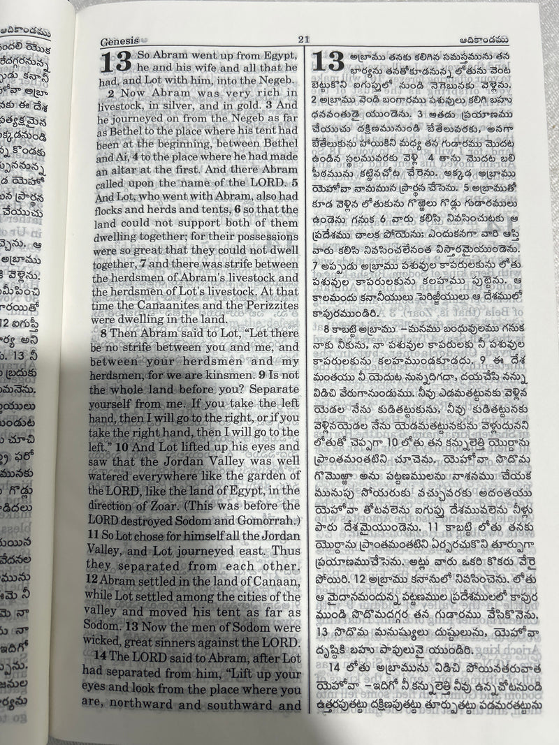 Telugu English Diglot Bible Royal Hardbound in Black by BSI | ESV & OV Regular Edition