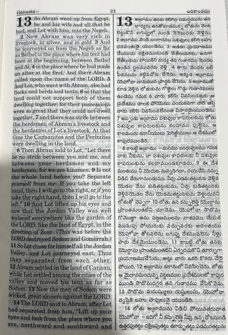 Telugu English Diglot Bible Hardcover Regular Black Edition by BSI