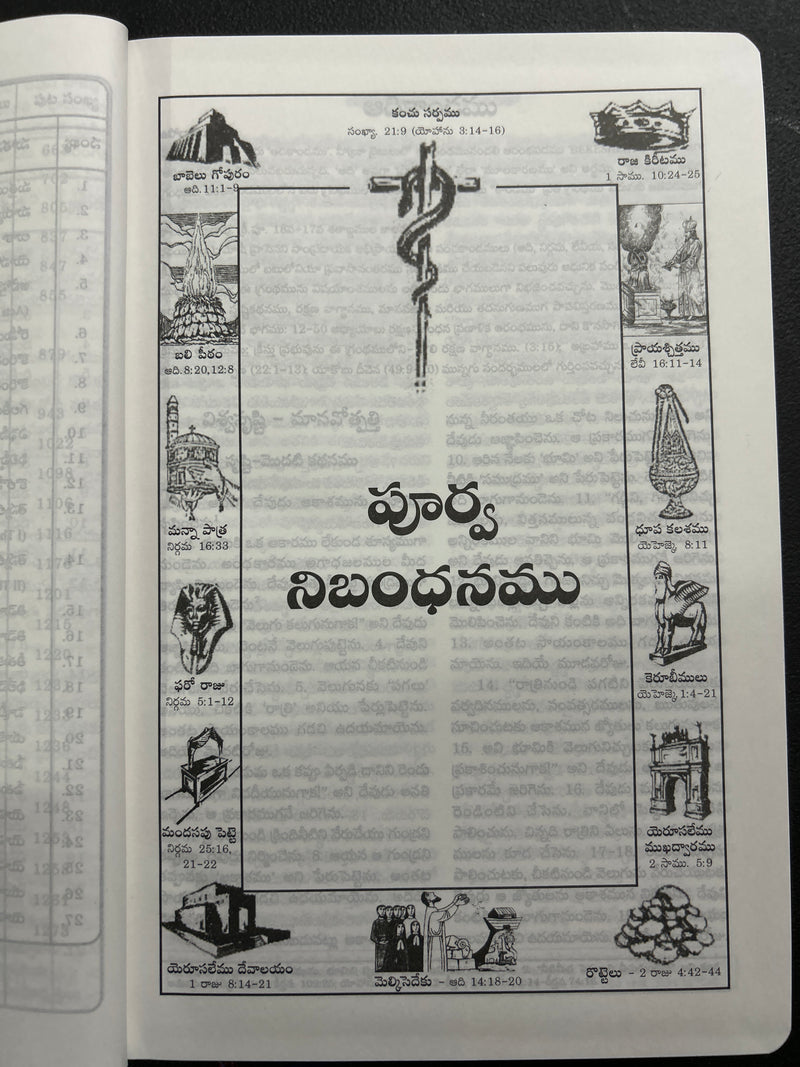 Catholic Telugu Bible (Pavitra Grandhamu) – Pink Leather Bound, Indexed, 2023