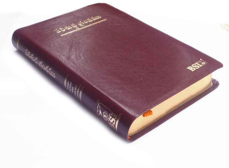 Holy bible telugu korean giant print leather cover gold edge thumb index by bsi - EachDayKart