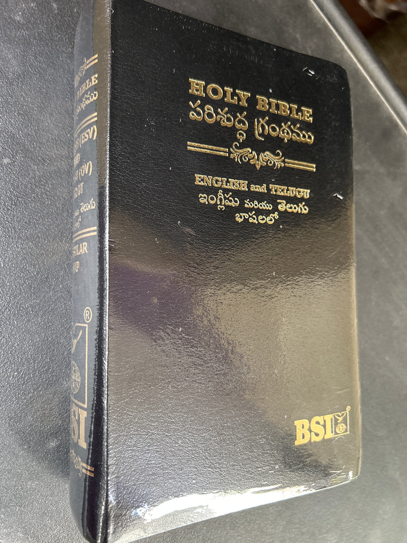 Eachdaykart Holy Bible Bilingual (English & Telugu) – Leatherette Black (BSI)