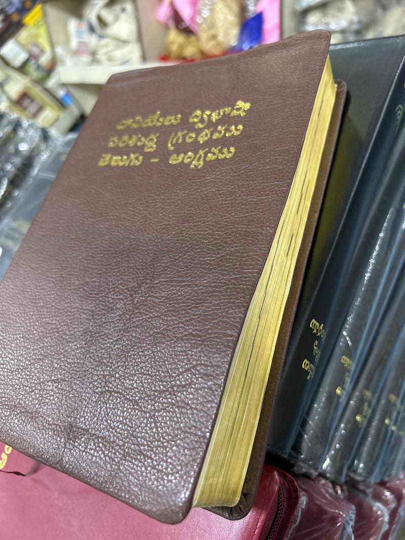 Daniel Bilingual Holy Bible Book (English-Telugu) in Leather | Eachdaykart