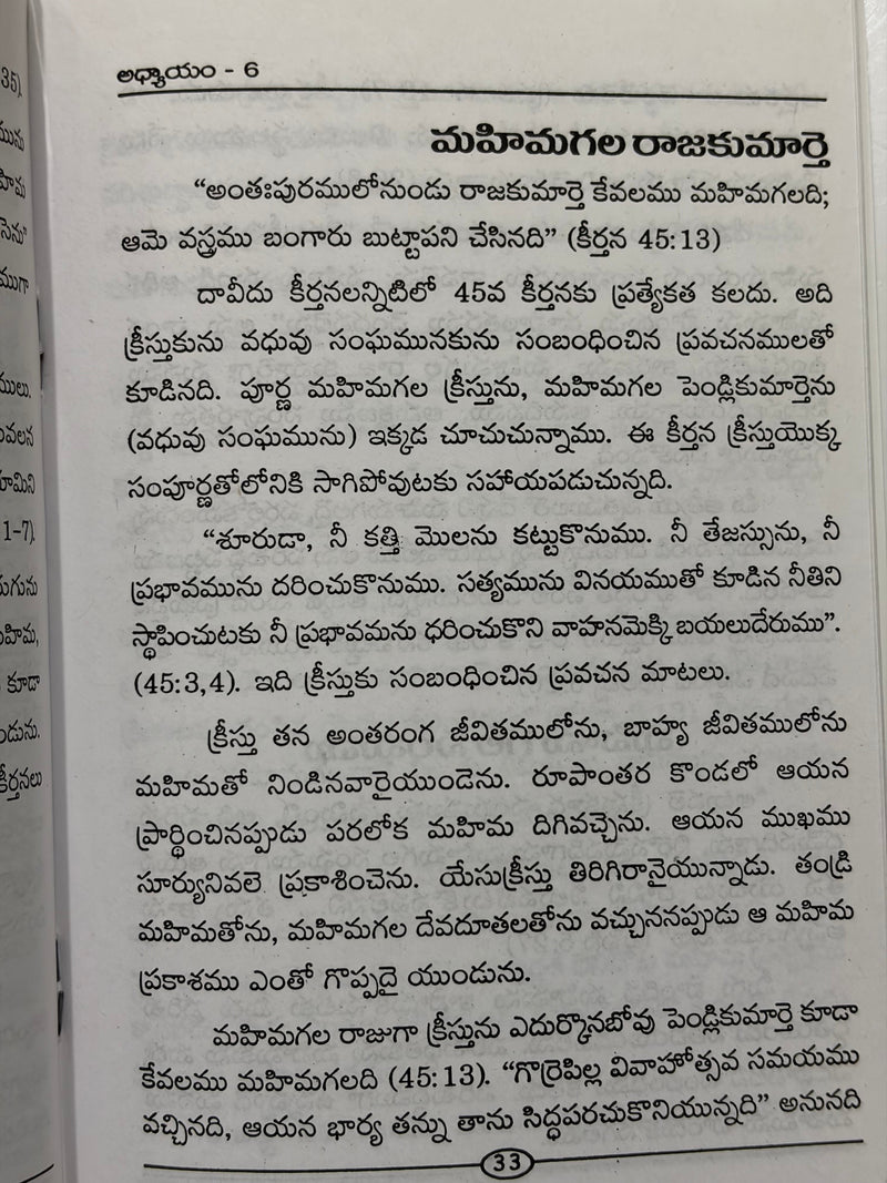 Daivani Simhasanamu By J Sam Jebadurai Telugu Christian Book EachDayKart