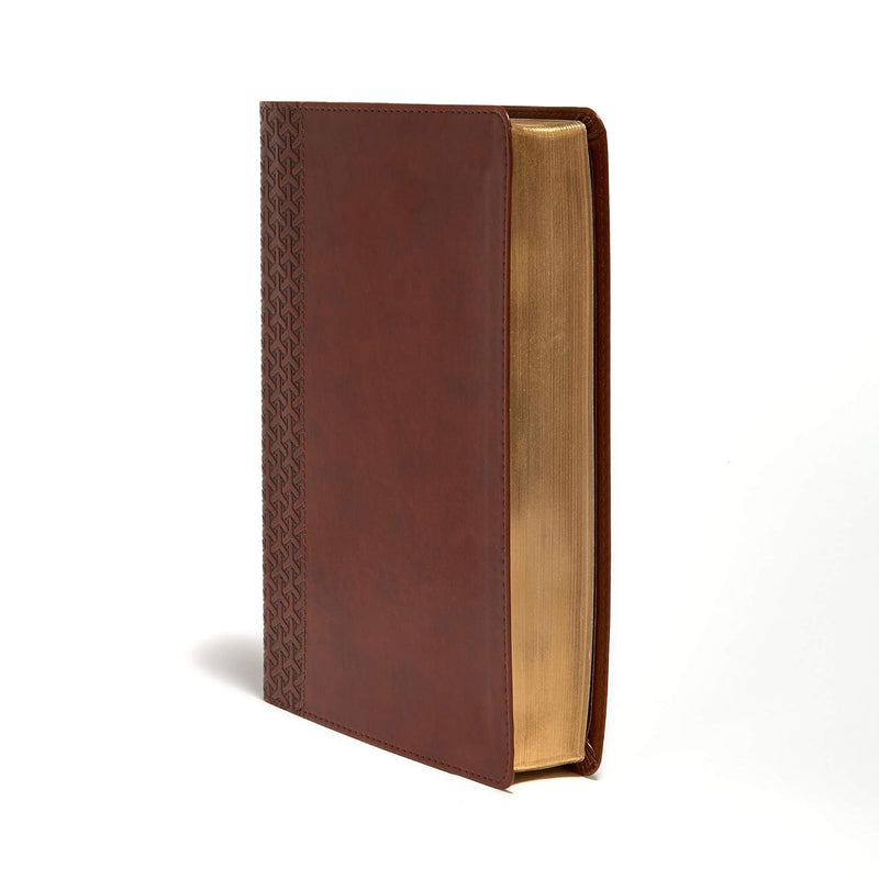 KJV Everyday Study Bible – Holman | King James Version | LeatherSoft Edition