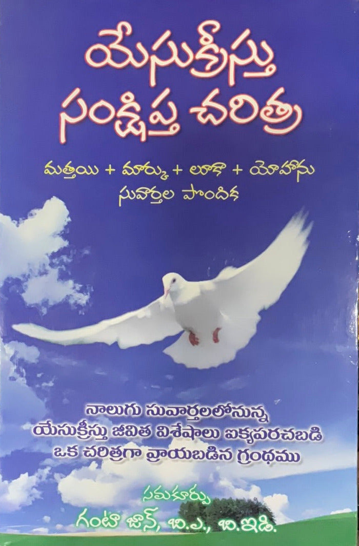 Synopsis of the Gospels of Matthew by Ganta John - Telugu christian books