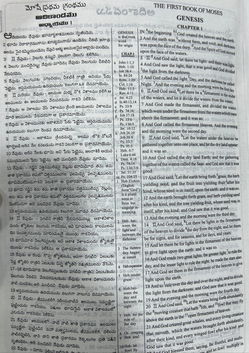 Daniel Bilingual Holy Bible Book (English-Telugu) in Leather | Eachdaykart