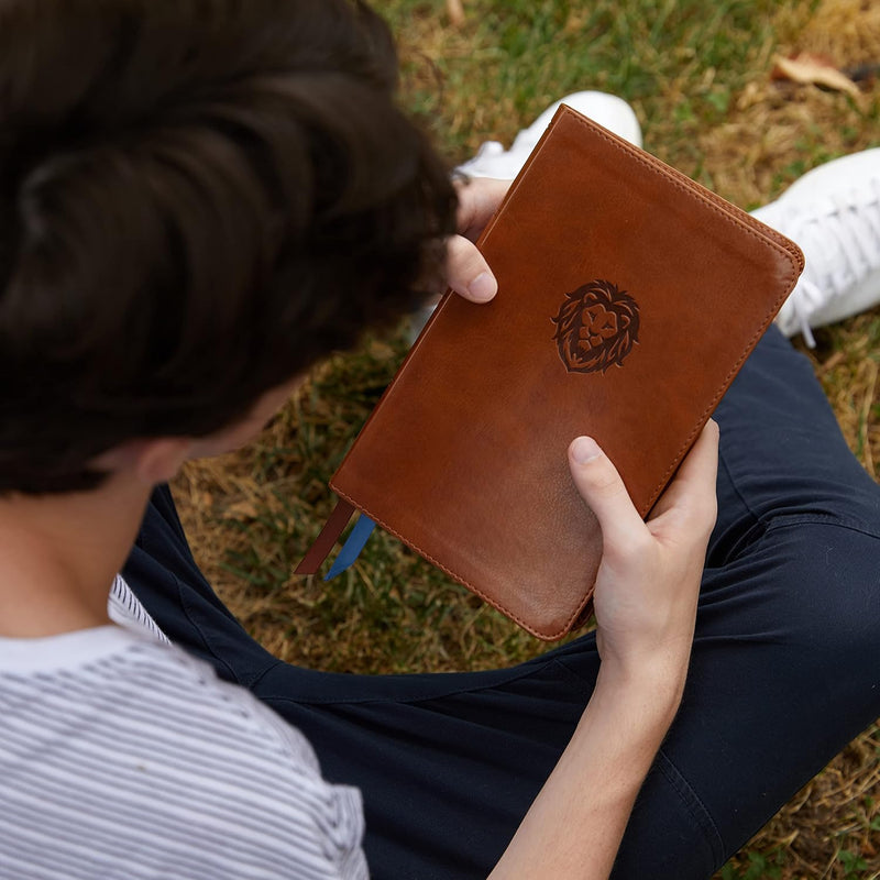 KJV Thinline Bible Youth Edition Brown LeatherSoft Red Letter
