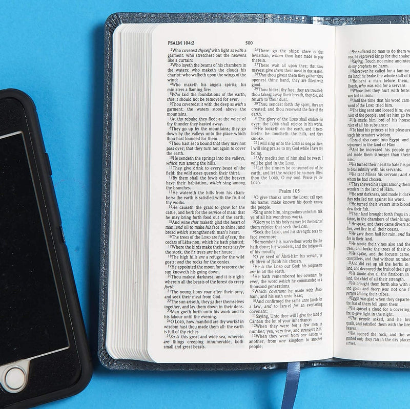 KJV On the Go Bible LeatherSoft Portable English Bible