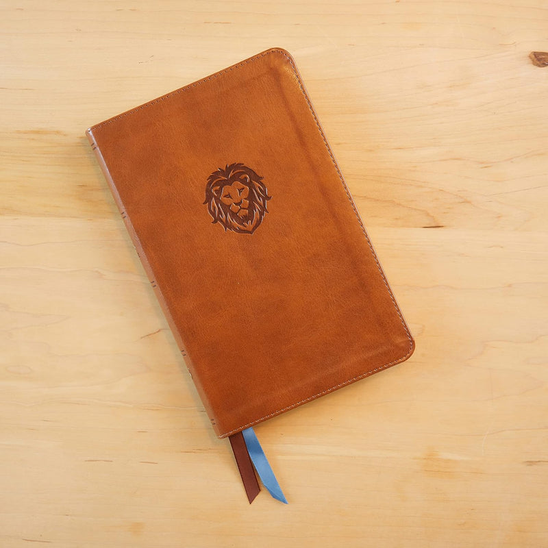 KJV Thinline Bible Youth Edition Brown LeatherSoft Red Letter