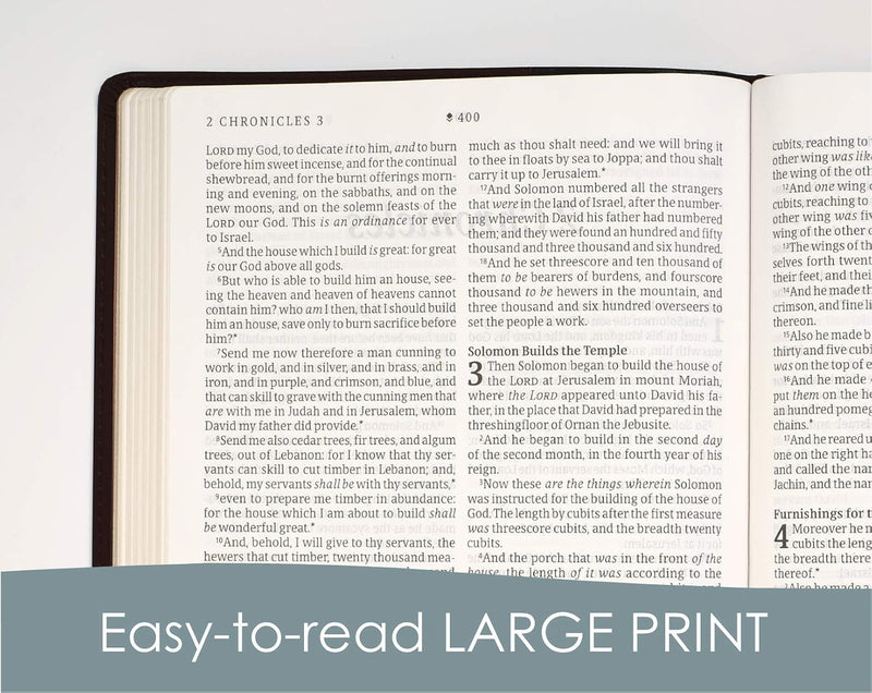 KJV Large Print Thinline Reference Bible Genuine Leather Black Red Letter English Christian Books