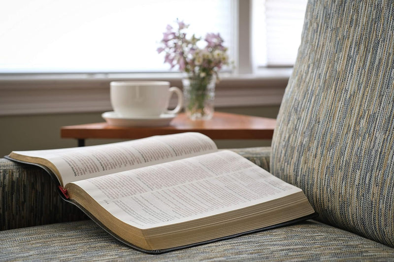 KJV Large Print Thinline Reference Bible Genuine Leather Black Red Letter English Christian Books