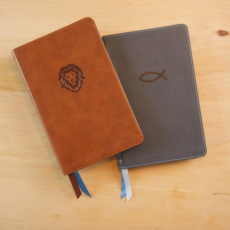 KJV Thinline Bible Youth Edition Brown LeatherSoft Red Letter