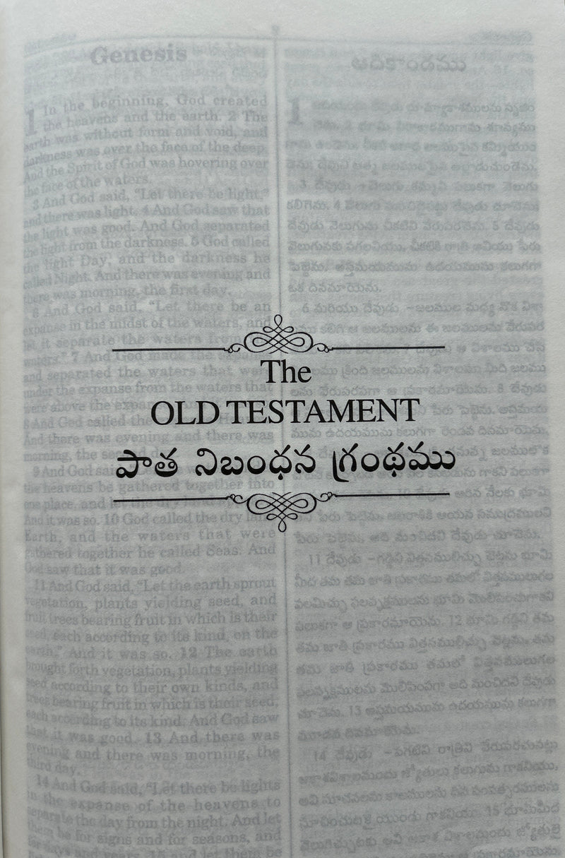 Holy Bible English–Telugu Diglot (ESV & O.V.) | Purple Leatherette Cover | Eachdaykart