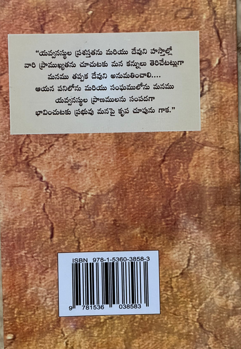 Yavvanasthulanu Nadipinchuta Ela Volume 3 Telugu Christian Youth Ministry Book By Living Stream Ministry EachDayKart