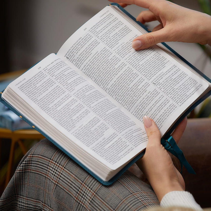KJV Thinline Bible Youth Edition Brown LeatherSoft Red Letter