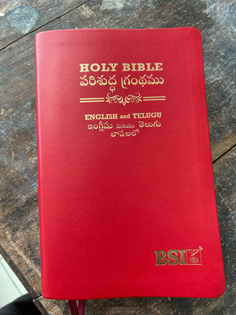 Eachdaykart Holy Bible, English ESV and Telugu OV Bilingual Diglot, Red Rexin Cover, BSI Edition