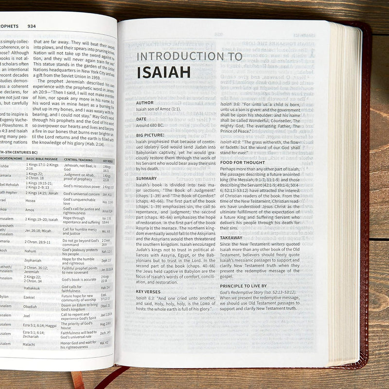 KJV Everyday Study Bible – Holman | King James Version | LeatherSoft Edition