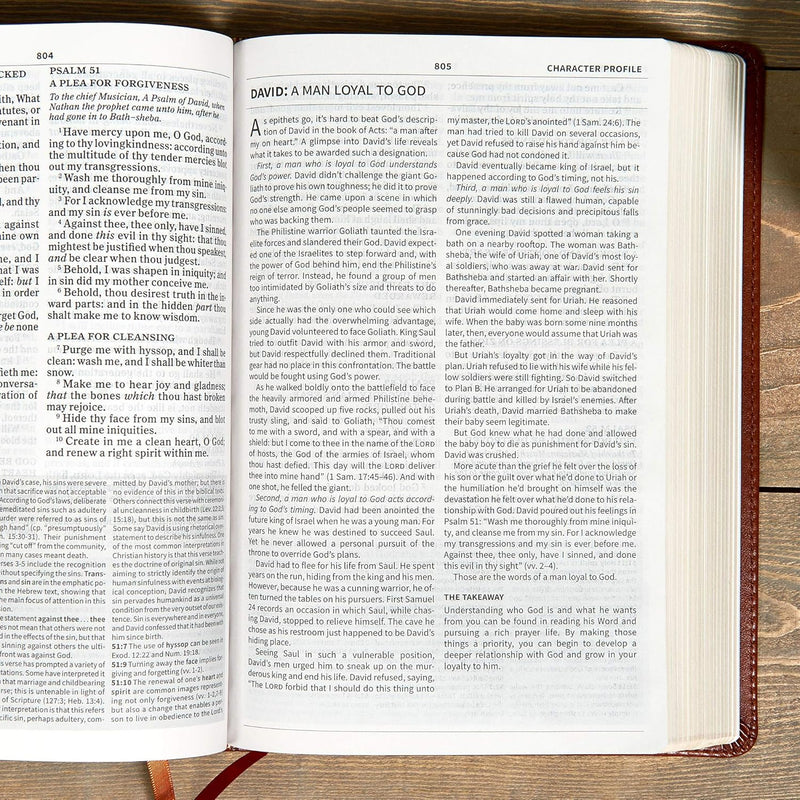 KJV Everyday Study Bible – Holman | King James Version | LeatherSoft Edition