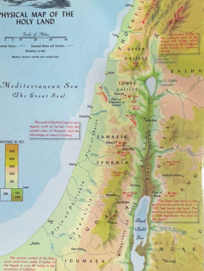 Synopsis of the Gospels of Matthew by Ganta John - Telugu christian books