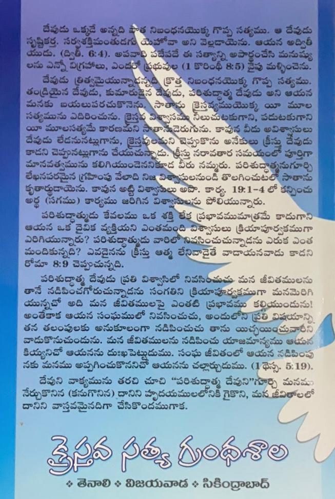 Holy Spirit A Daily Person by H. L. Haikoop | Eachdaykart