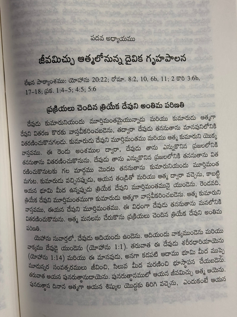 Daivika Gruhapalana Telugu Christian Spiritual Life Book Volume 7 By Witness Lee EachDayKart