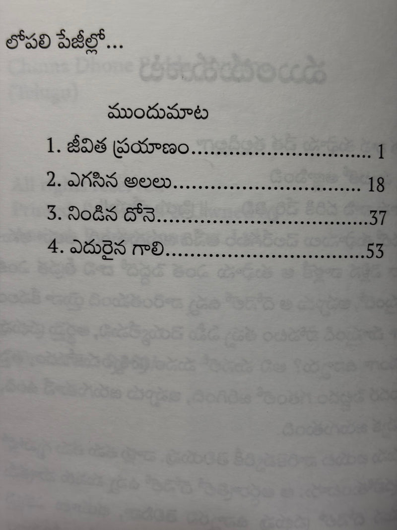 Chinna Done Pedda Tufanu Telugu Christian Book By Pilla Venkata Ratnam EachDayKart