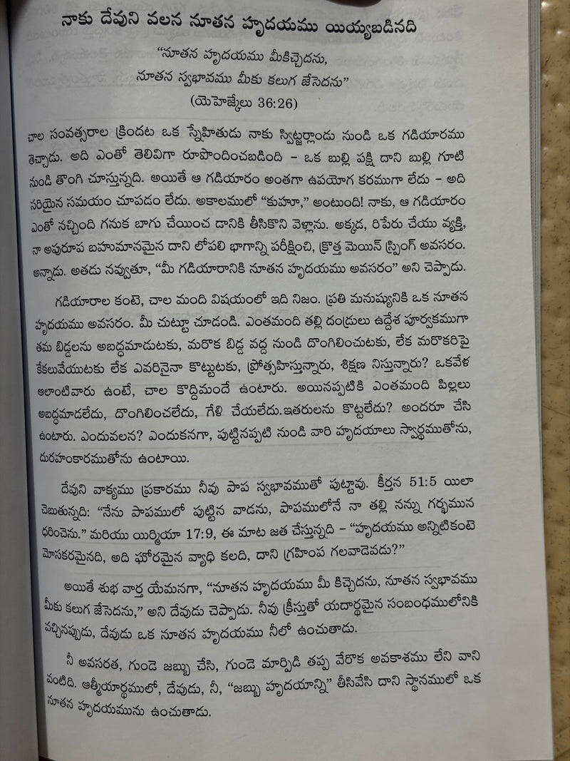 Devuni Kanula Dwara Ninnu Nivu Chuchukonumu 31 Dinamula Dhyanalu By Joan Hunt Telugu Christian Devotional Book EachDayKart