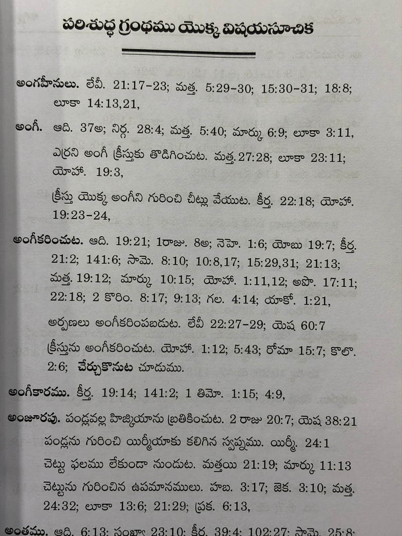 Parishuddha Grandhamu Yokka Vishaya Suchika By Rev Wheeler Bages Telugu Christian Book EachDayKart