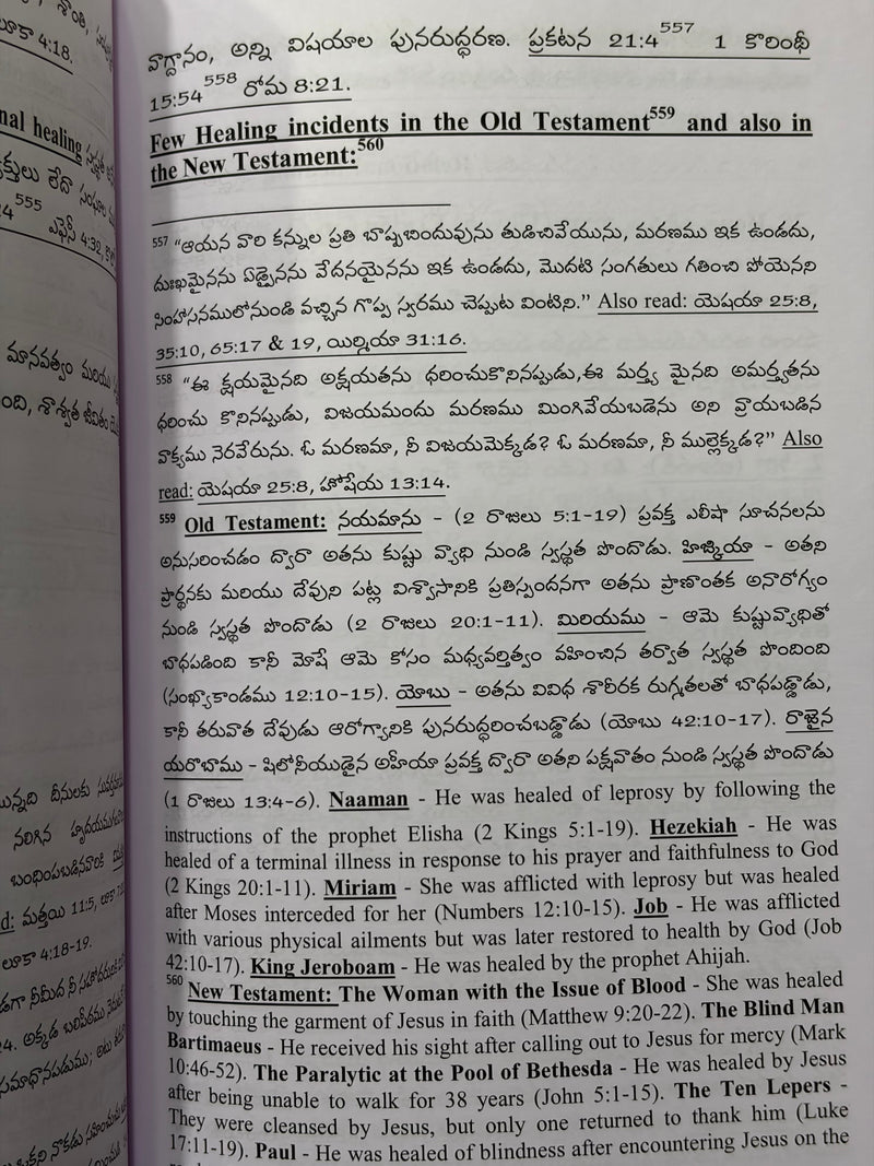 Pancha Bhashalalo Bible Padakosam Volume 1 Telugu Biblical Dictionary Book EachDayKart