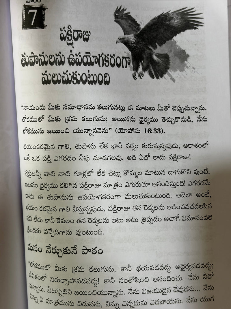 Pakshirajuvule Paikeguru Soar High Like An Eagle Inspirational Telugu Christian Book By Daresa Paul EachDayKart