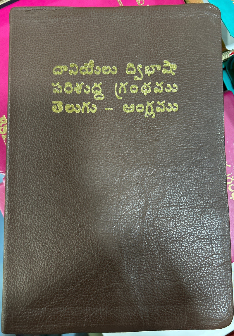Daniel Bilingual Holy Bible Book (English-Telugu) in Leather | Eachdaykart