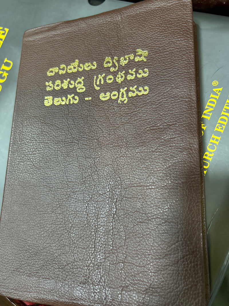Daniel Bilingual Holy Bible Book (English-Telugu) in Leather | Eachdaykart