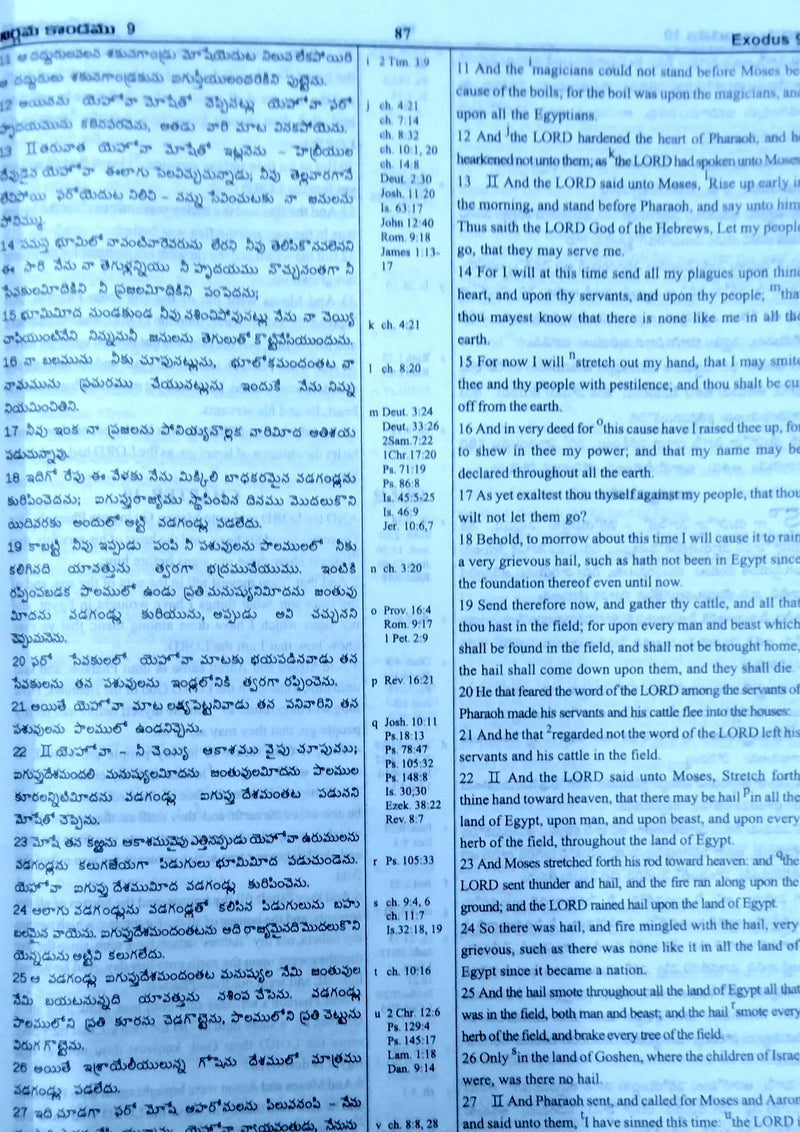 Daniel bilingual study bible in telugu and english king james version leather bound