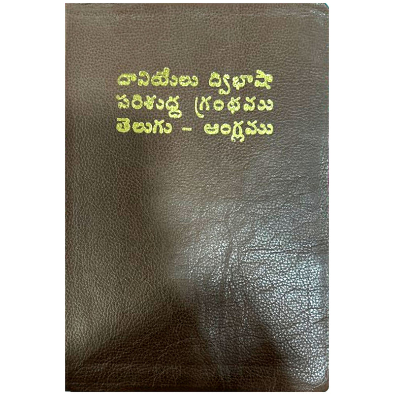 Daniel Bilingual Holy Bible Book (English-Telugu) in Leather | Eachdaykart