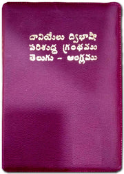 Daniel Telugu English Bilingual Bible with Zip – EachDayKart